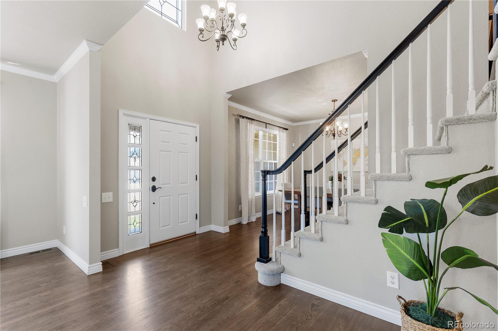 MLS Image #2 for 7099  cerney circle,castle pines, Colorado