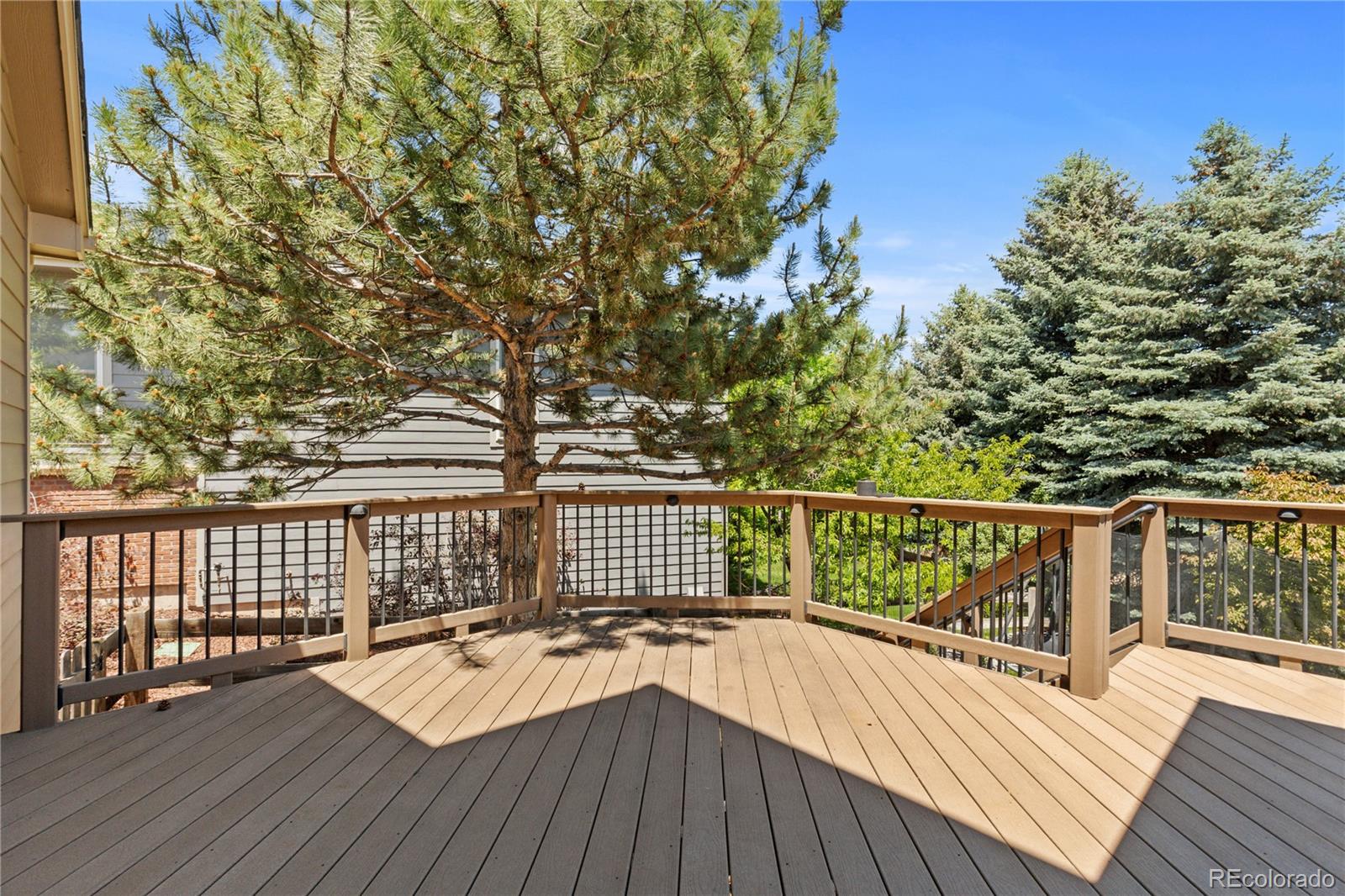 MLS Image #42 for 7099  cerney circle,castle pines, Colorado