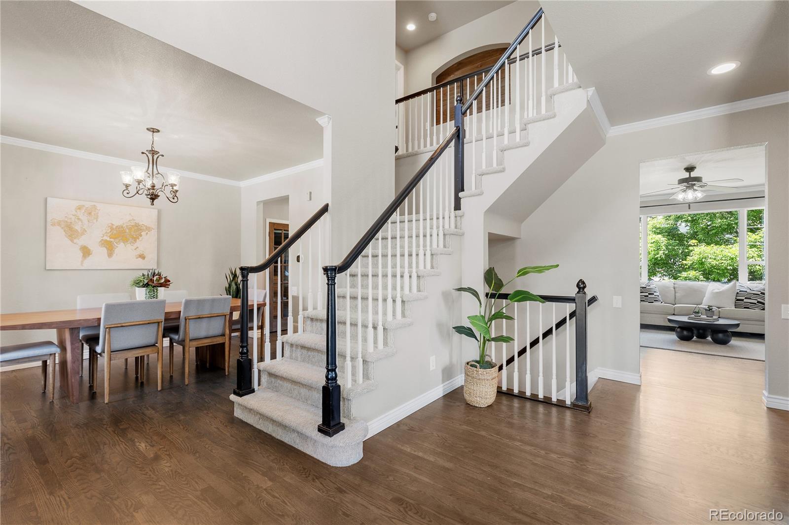 MLS Image #5 for 7099  cerney circle,castle pines, Colorado