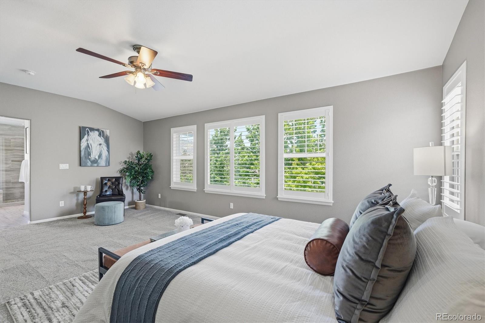 MLS Image #14 for 8354  hackamore road,littleton, Colorado