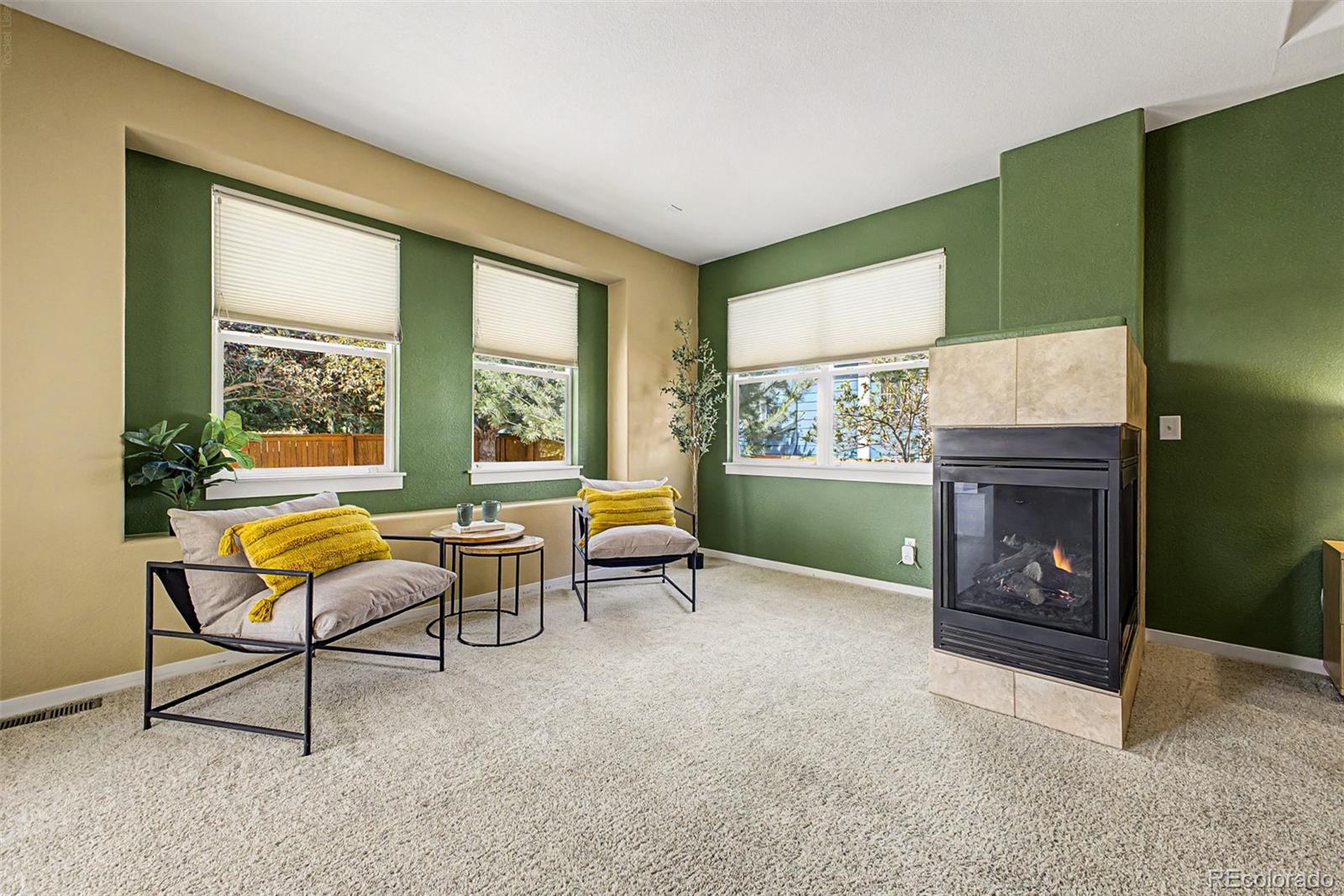MLS Image #18 for 2505 e 141st place,brighton, Colorado