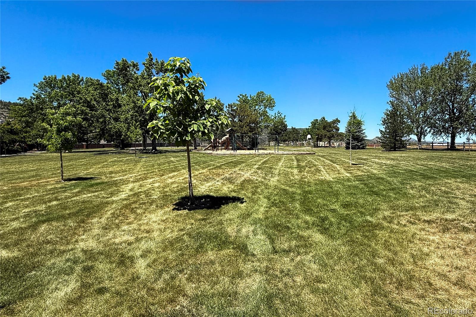 MLS Image #30 for 11675  elk head range road ,littleton, Colorado