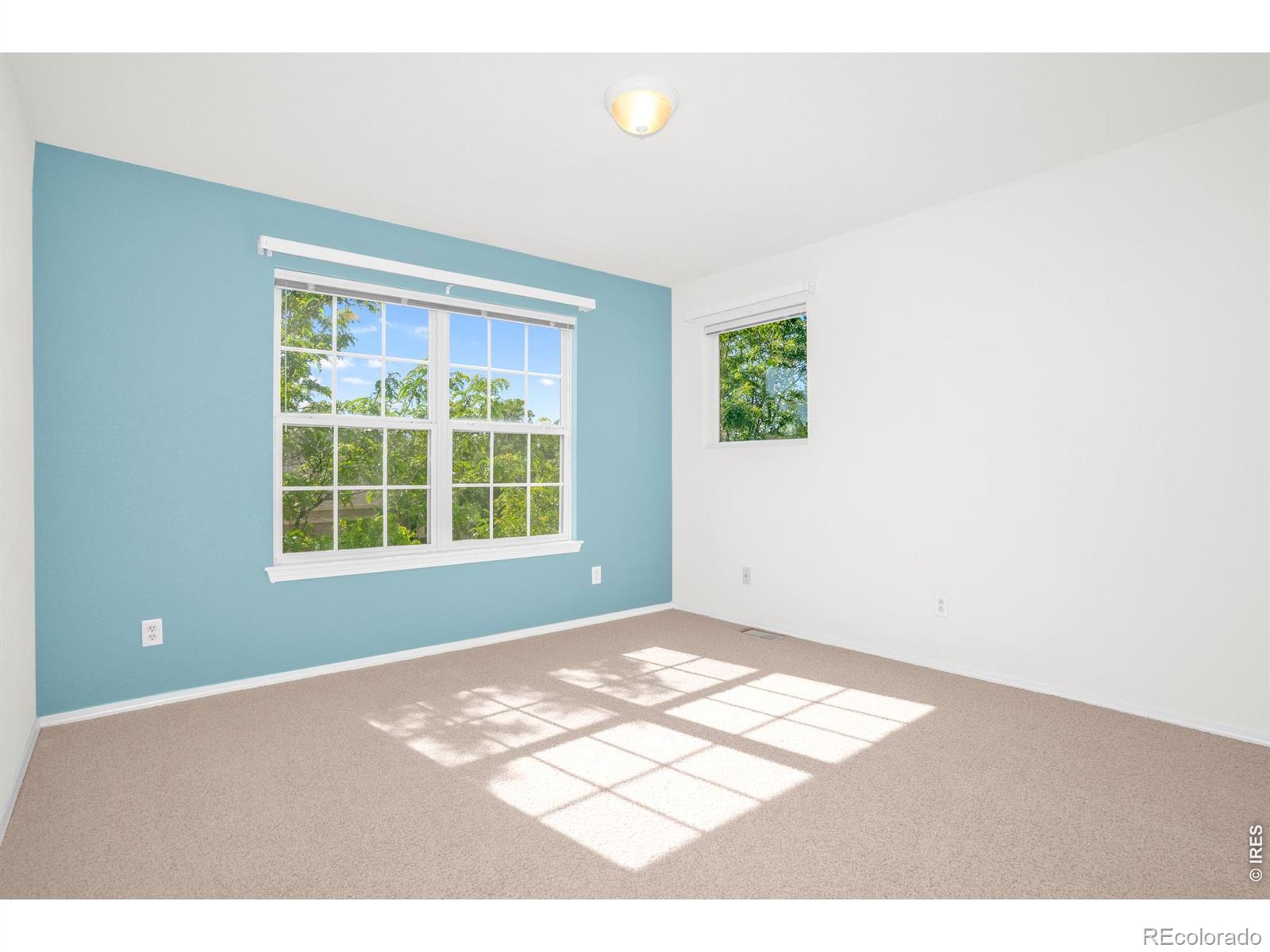 MLS Image #24 for 4007  don fox circle,loveland, Colorado