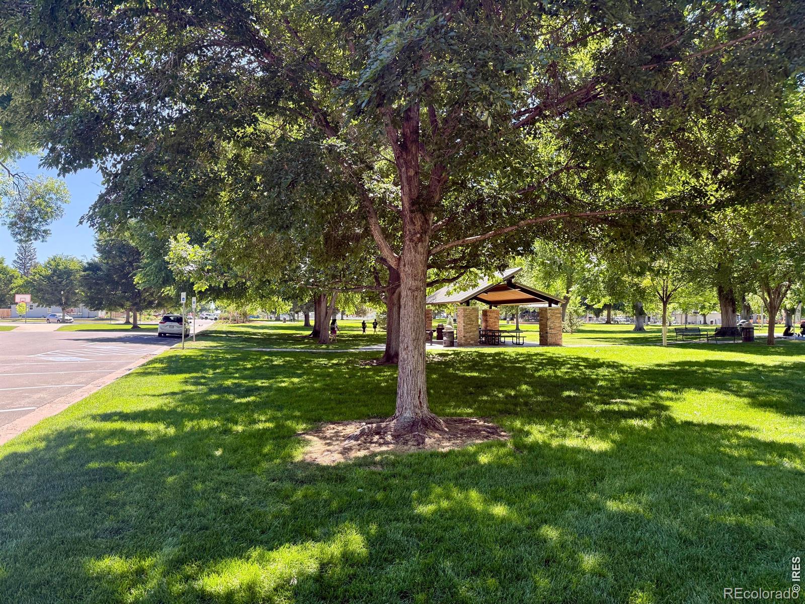 MLS Image #28 for 112  elm street,windsor, Colorado