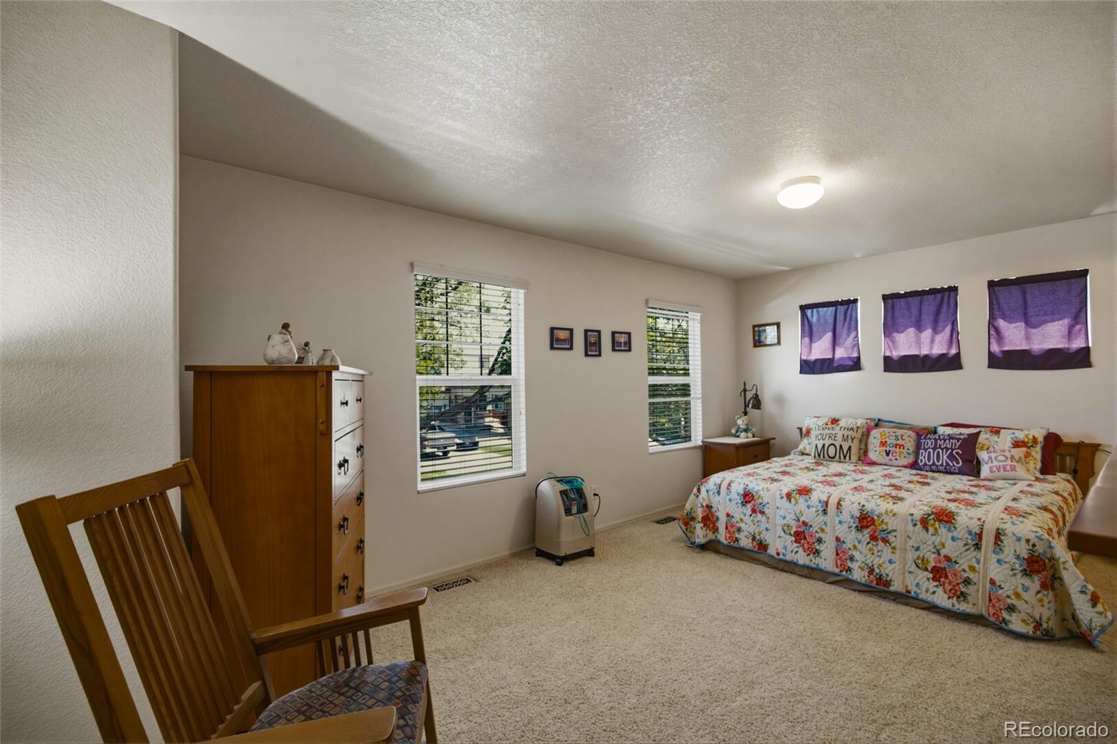 MLS Image #20 for 15612 e 96th way 18a,commerce city, Colorado