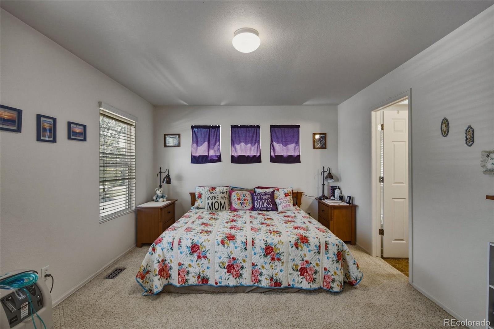 MLS Image #21 for 15612 e 96th way 18a,commerce city, Colorado