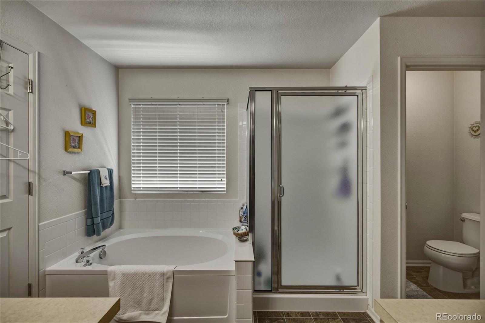 MLS Image #24 for 15612 e 96th way 18a,commerce city, Colorado