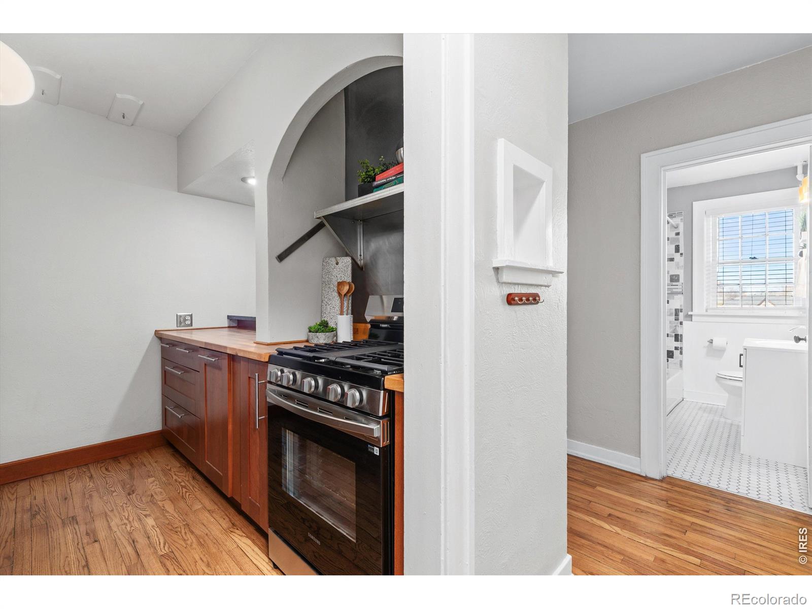 MLS Image #10 for 1446 n gilpin street,denver, Colorado