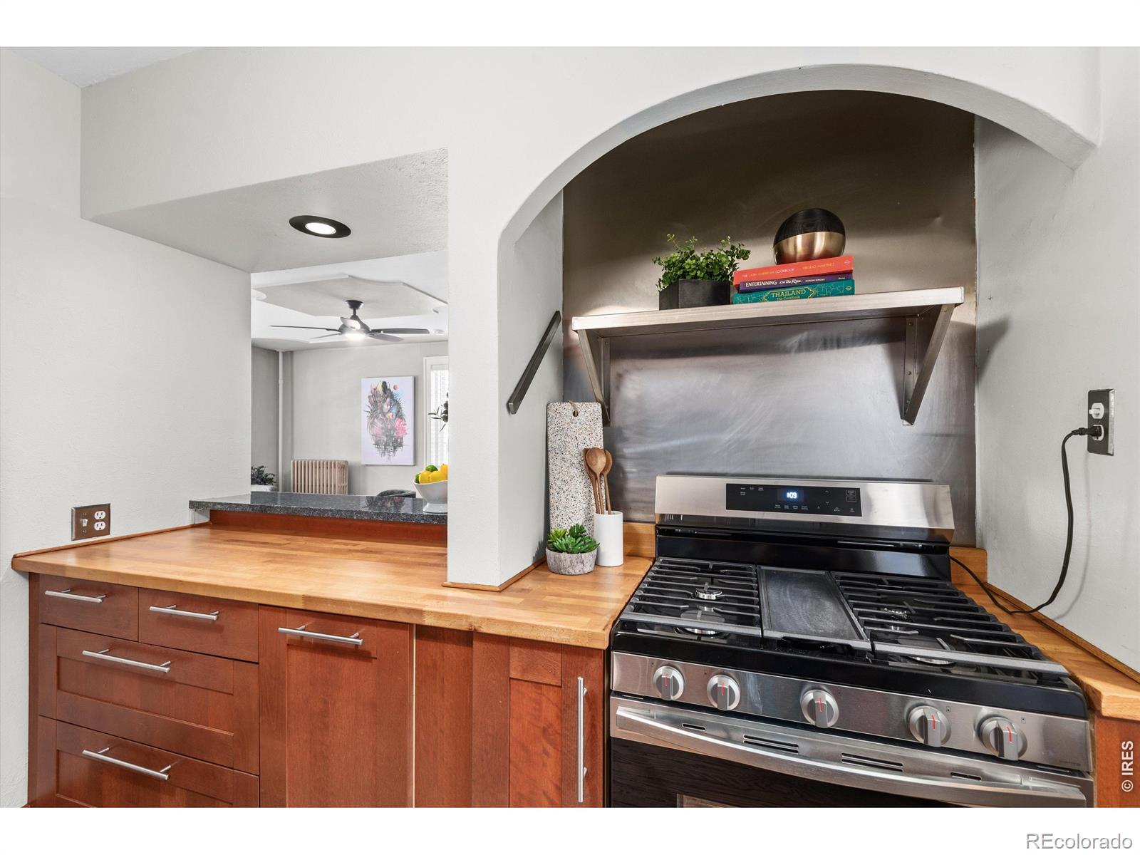 MLS Image #13 for 1446 n gilpin street,denver, Colorado