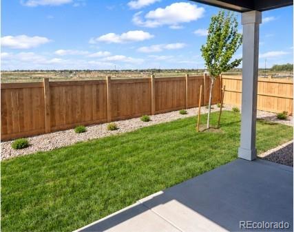 MLS Image #34 for 1436  boyle street,windsor, Colorado