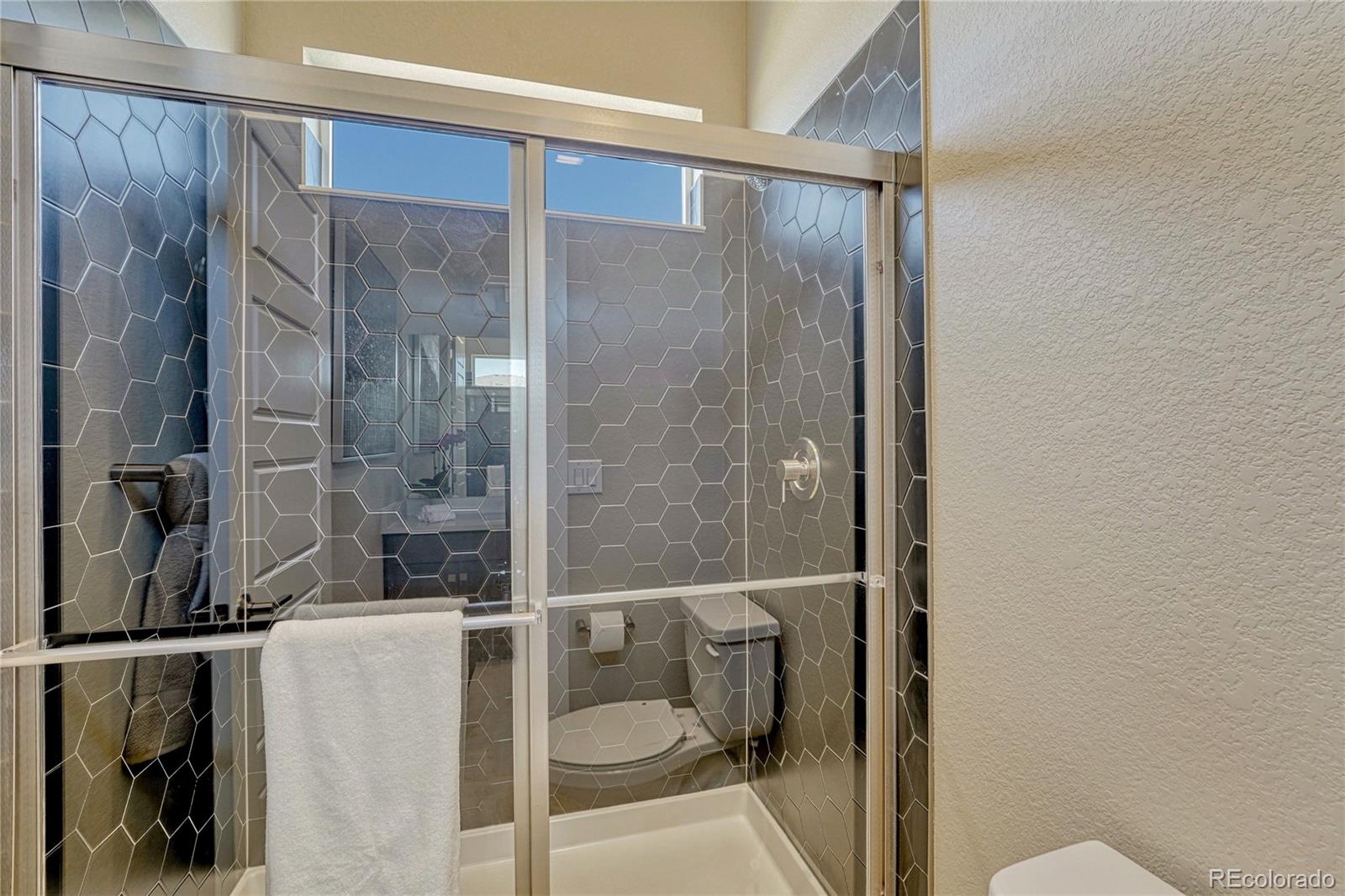 MLS Image #30 for 17149  birds foot trail,parker, Colorado