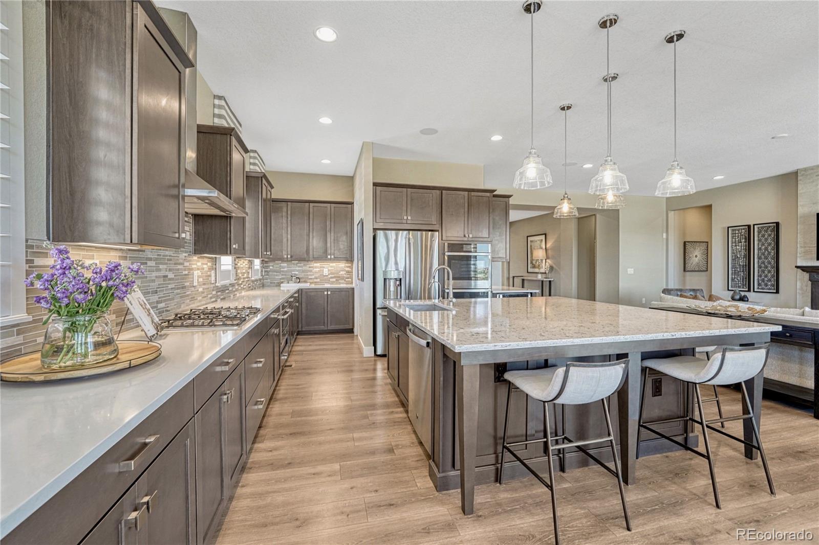 MLS Image #6 for 17149  birds foot trail,parker, Colorado