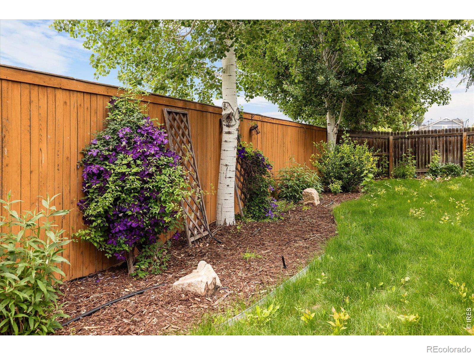 MLS Image #37 for 8145  raspberry drive,frederick, Colorado