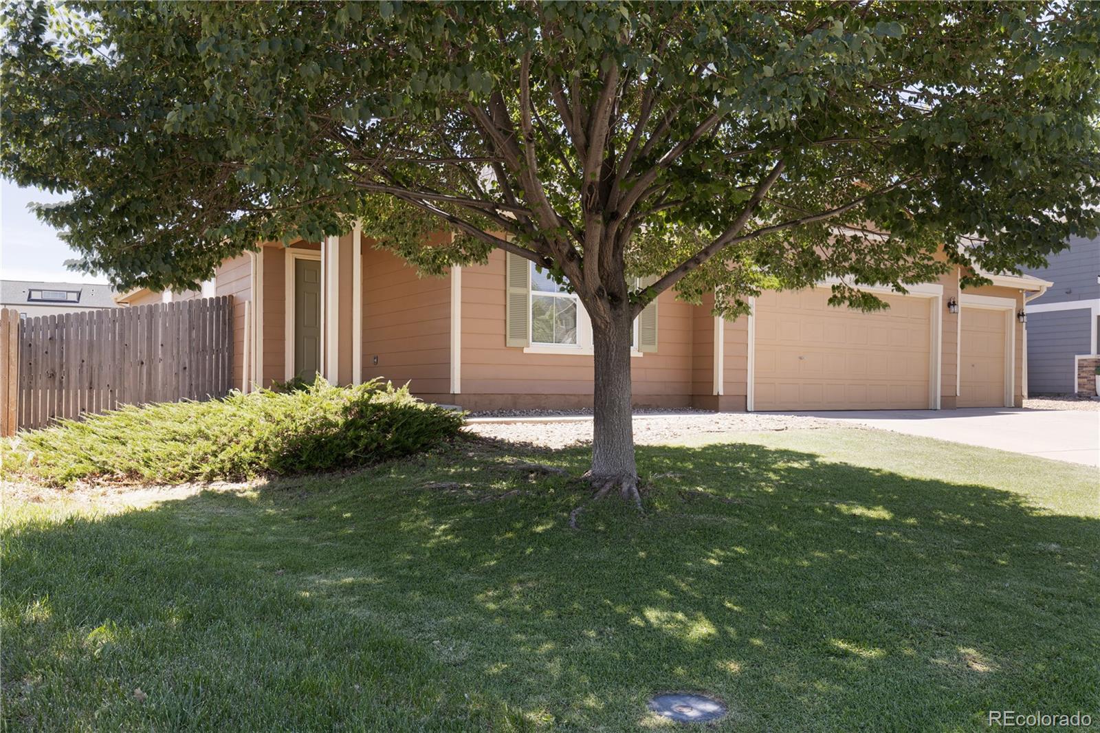 MLS Image #3 for 847  willow drive,brighton, Colorado