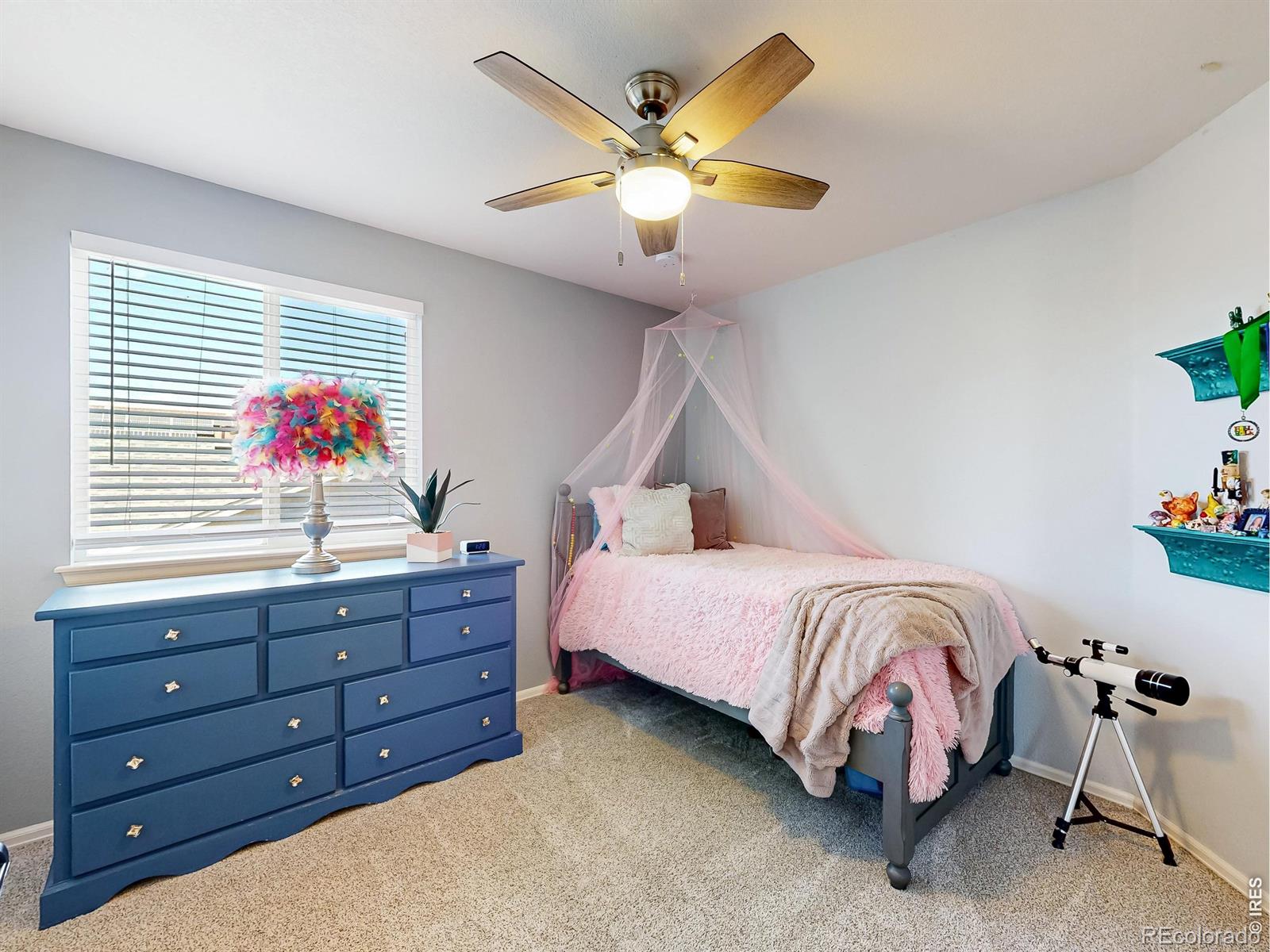 MLS Image #26 for 10688  echo street,firestone, Colorado
