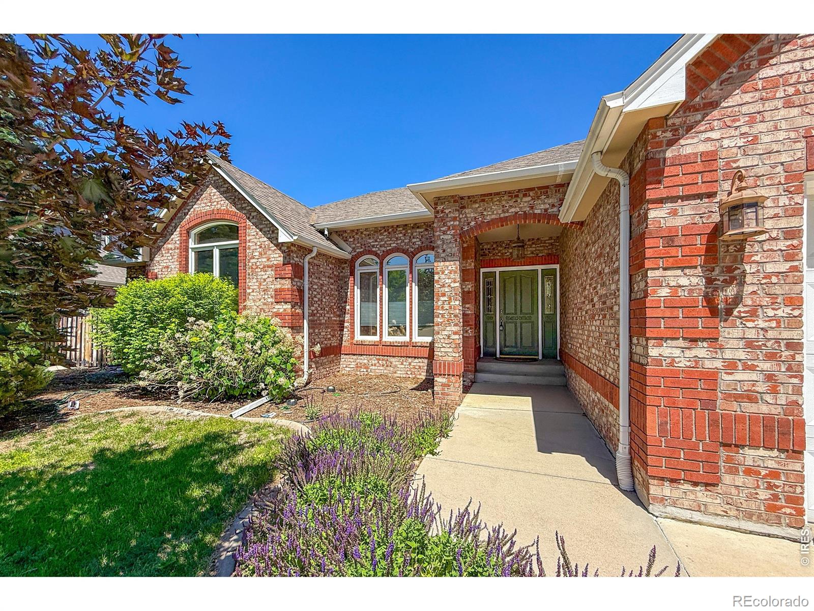 MLS Image #3 for 2010  emerald drive,longmont, Colorado