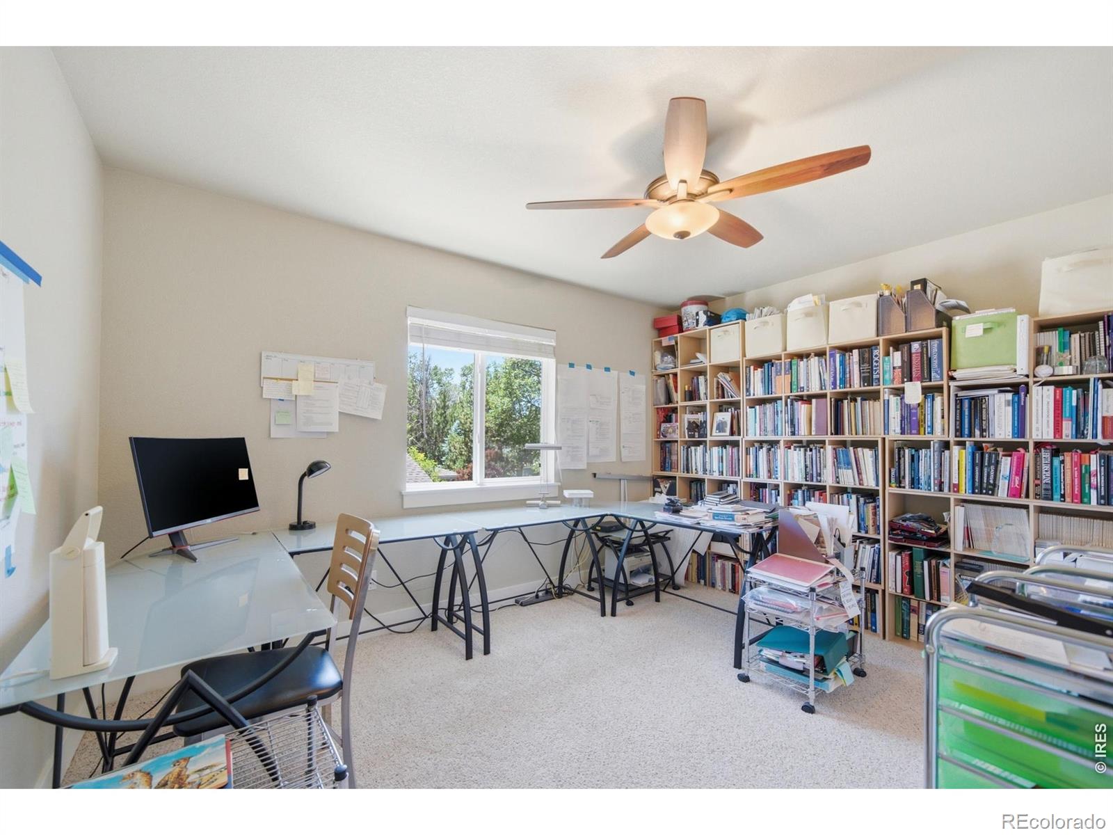 MLS Image #22 for 539  coriander lane,fort collins, Colorado