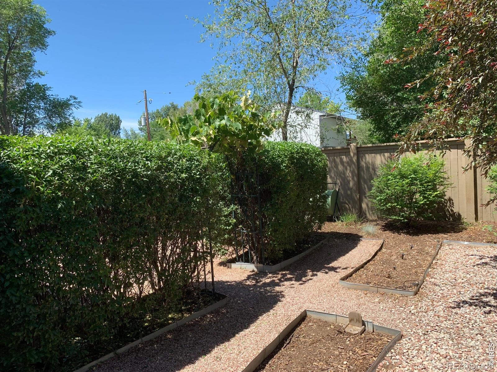 MLS Image #26 for 539  coriander lane,fort collins, Colorado