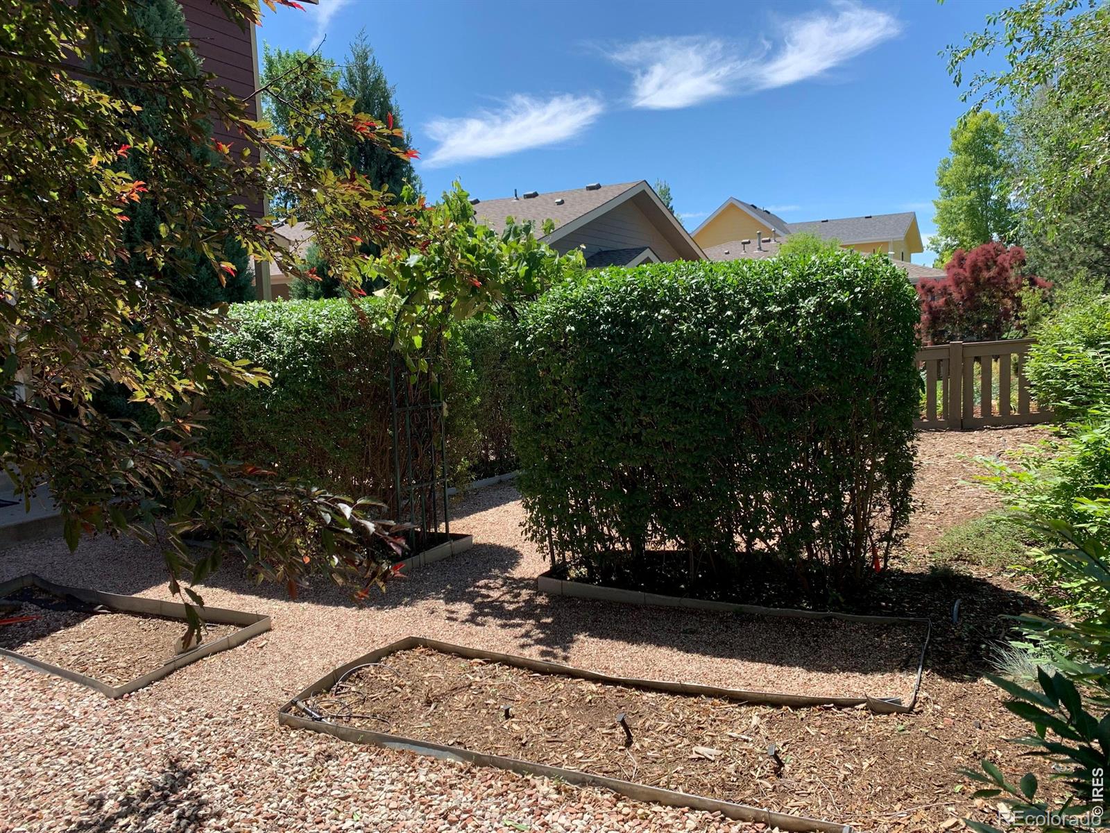 MLS Image #29 for 539  coriander lane,fort collins, Colorado