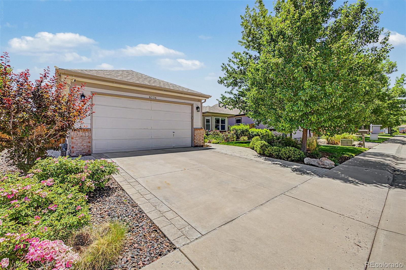 MLS Image #1 for 6776  salvia court,arvada, Colorado