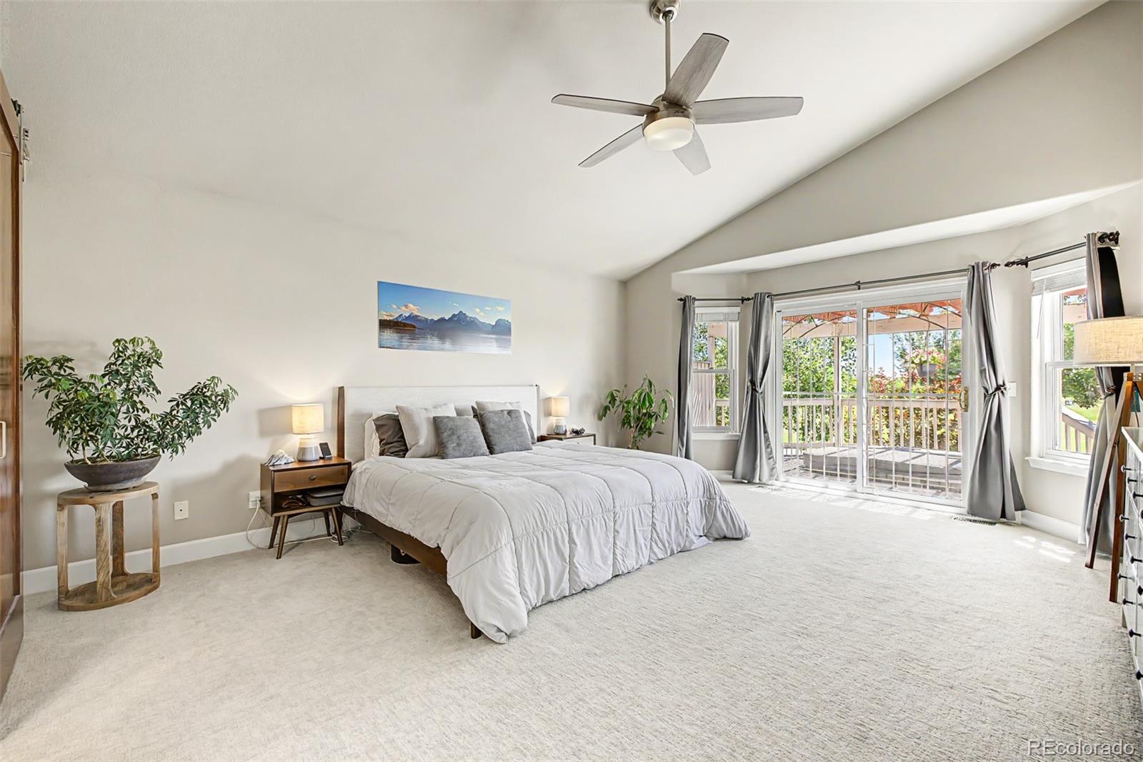 MLS Image #17 for 6776  salvia court,arvada, Colorado