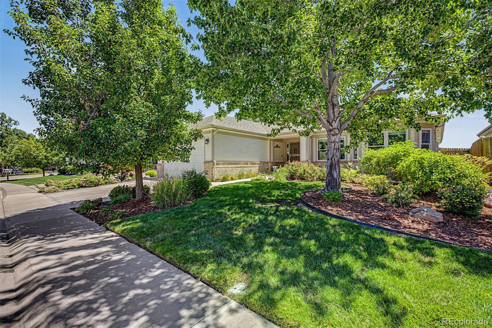 MLS Image #2 for 6776  salvia court,arvada, Colorado