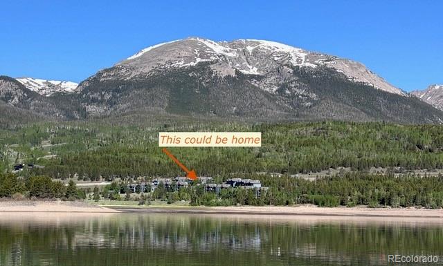 MLS Image #8 for 1620  lakeview terrace,frisco, Colorado