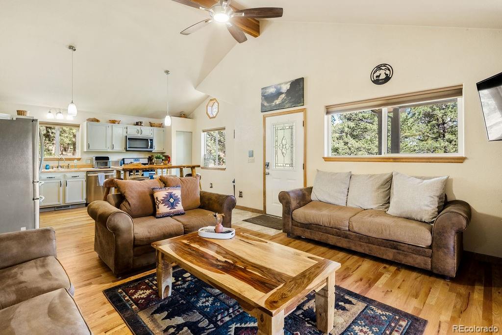 MLS Image #10 for 163  buffum street,bailey, Colorado