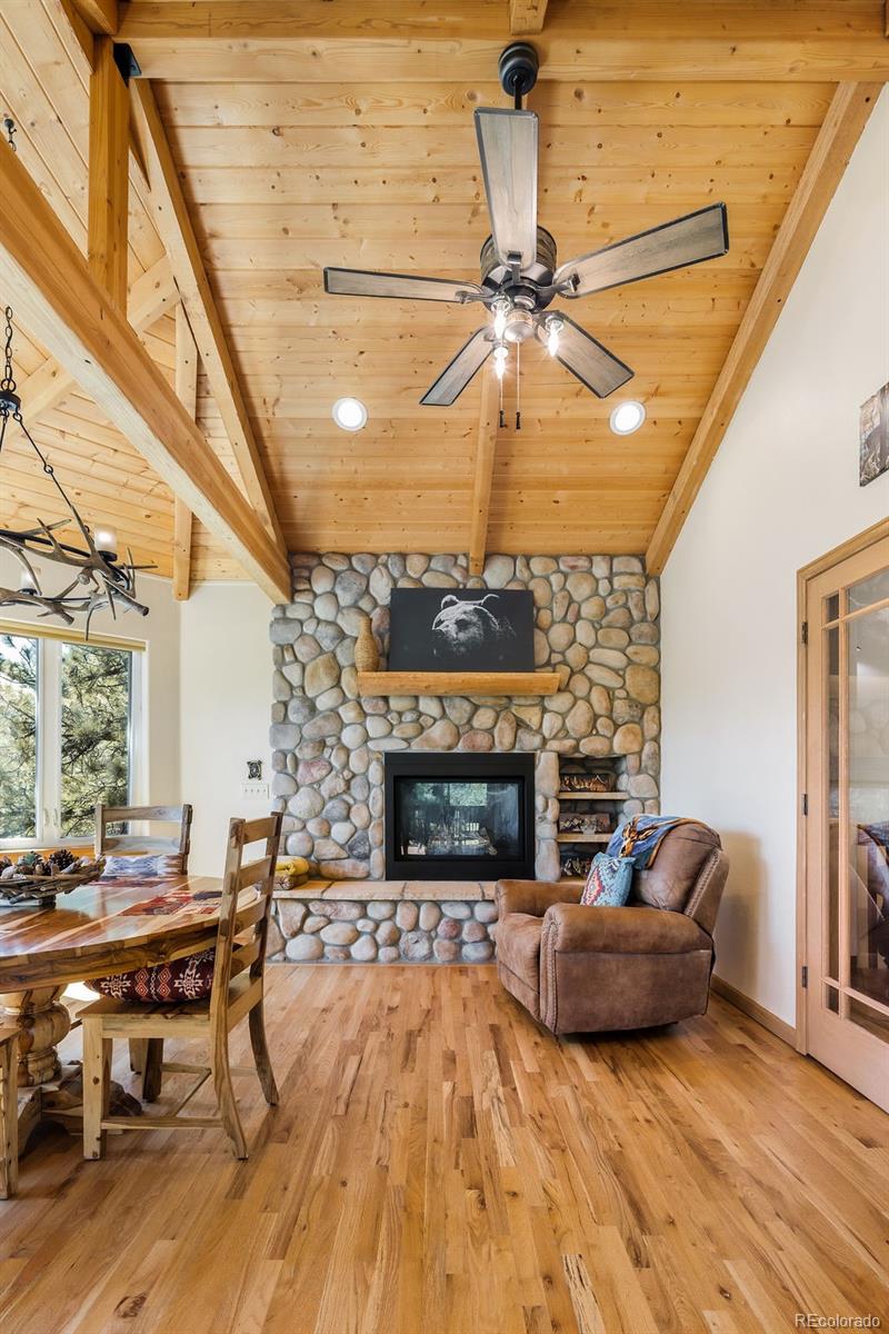 MLS Image #11 for 163  buffum street,bailey, Colorado