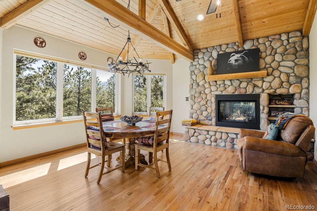 MLS Image #12 for 163  buffum street,bailey, Colorado