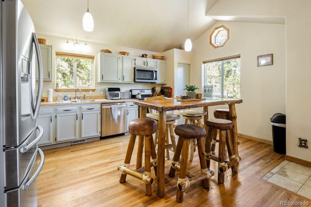 MLS Image #14 for 163  buffum street,bailey, Colorado