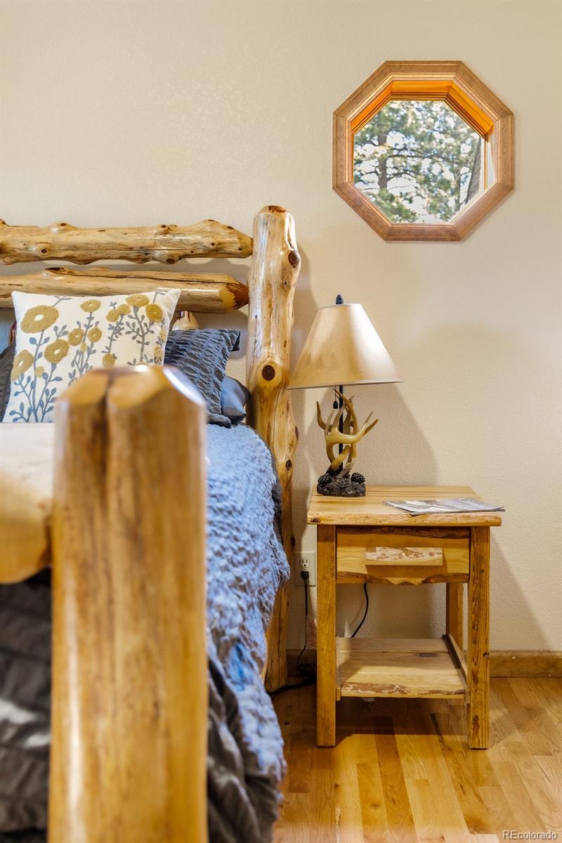 MLS Image #18 for 163  buffum street,bailey, Colorado