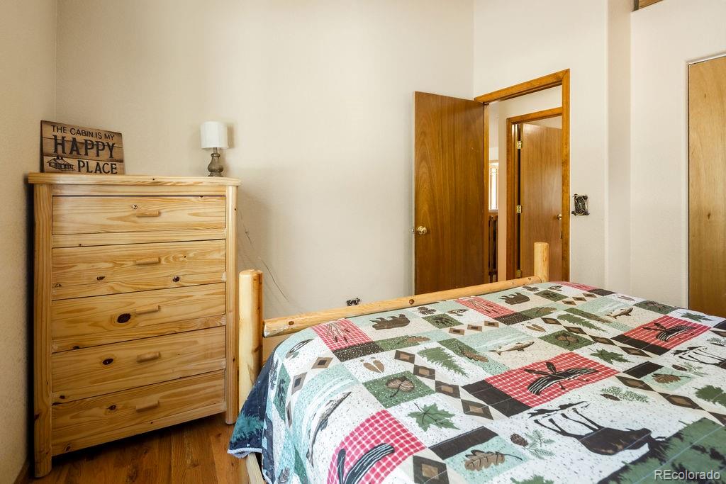 MLS Image #24 for 163  buffum street,bailey, Colorado