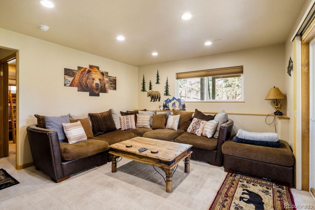 MLS Image #25 for 163  buffum street,bailey, Colorado