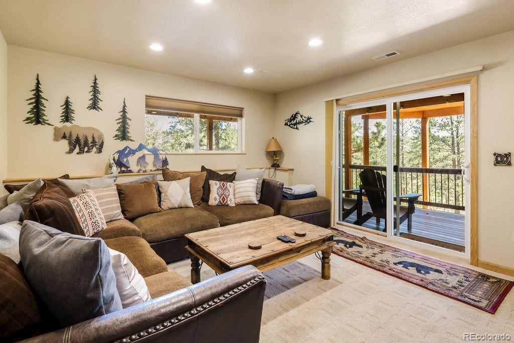 MLS Image #27 for 163  buffum street,bailey, Colorado