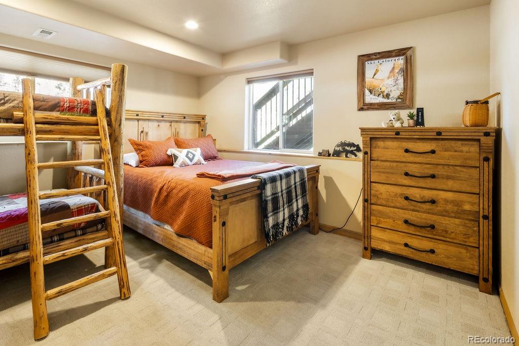 MLS Image #29 for 163  buffum street,bailey, Colorado