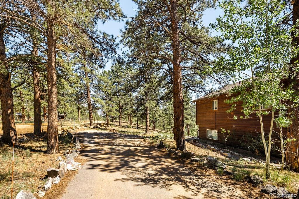 MLS Image #41 for 163  buffum street,bailey, Colorado