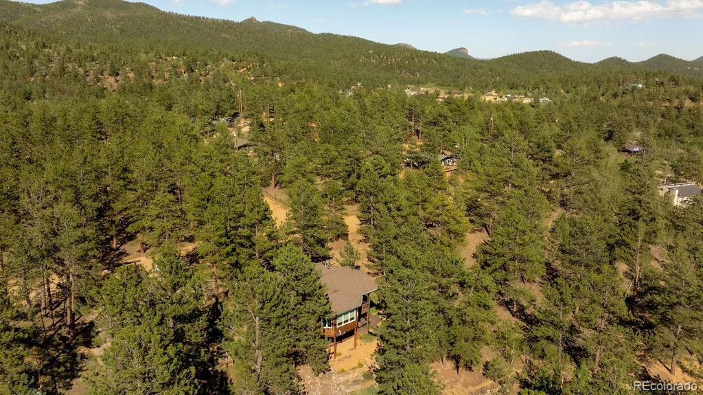 MLS Image #43 for 163  buffum street,bailey, Colorado