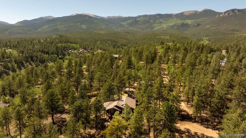 MLS Image #45 for 163  buffum street,bailey, Colorado