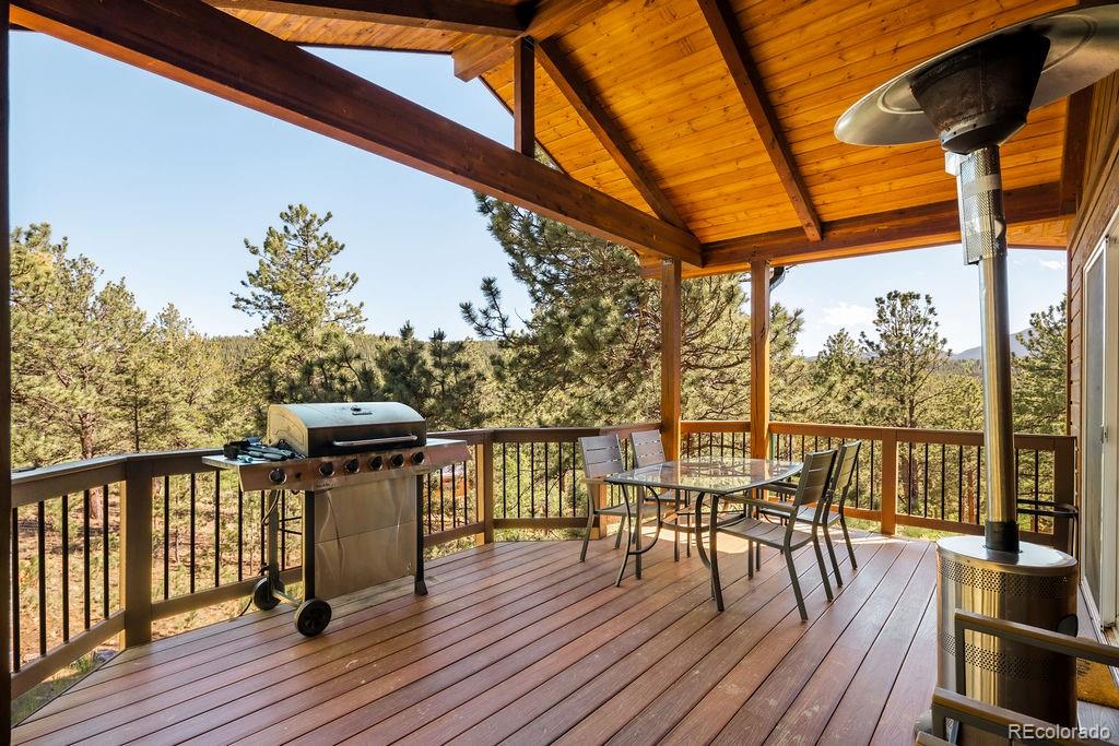 MLS Image #6 for 163  buffum street,bailey, Colorado
