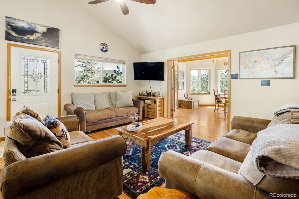 MLS Image #8 for 163  buffum street,bailey, Colorado