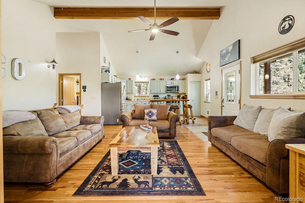 MLS Image #9 for 163  buffum street,bailey, Colorado