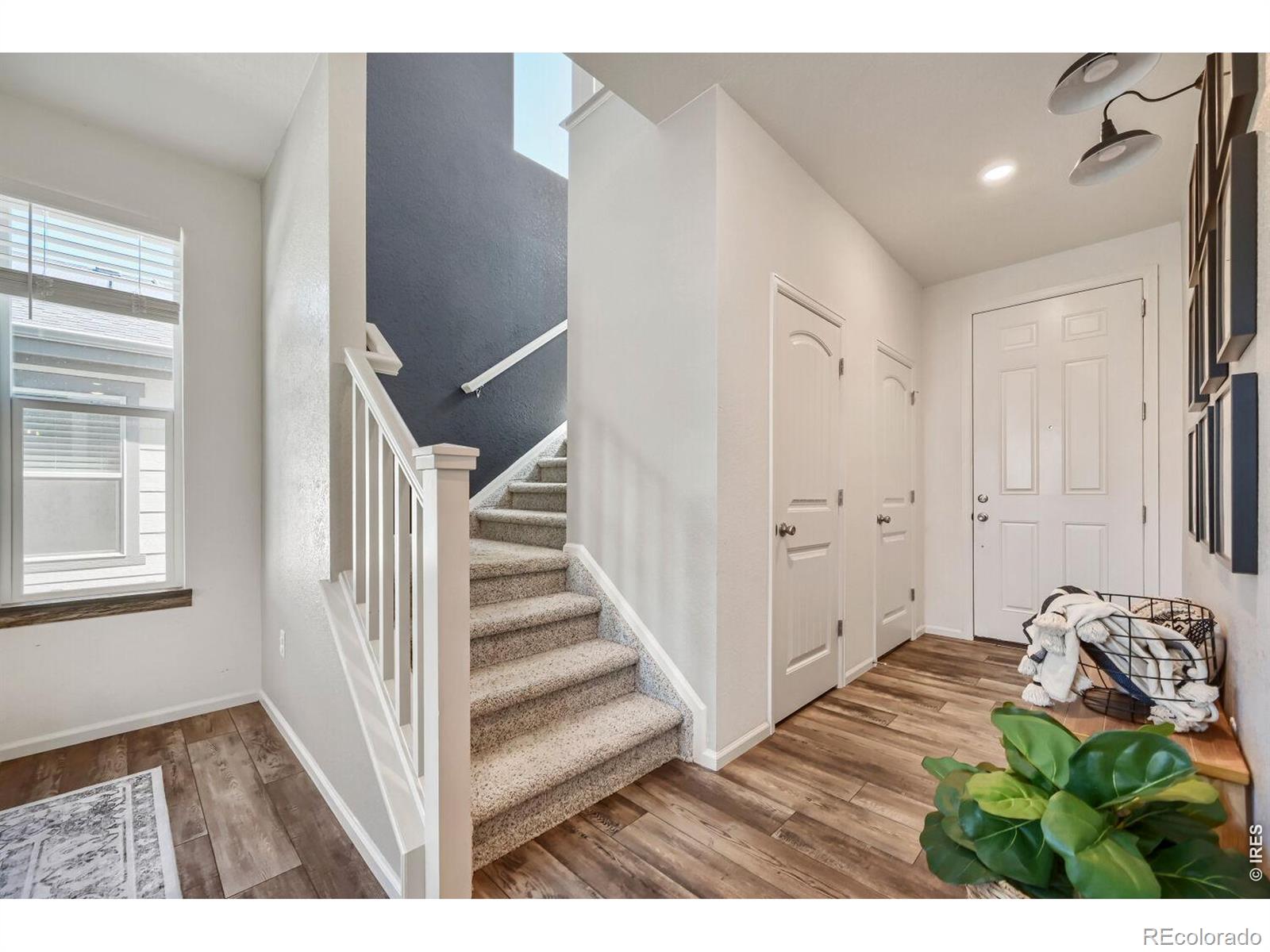 MLS Image #3 for 2969  cub lake drive,loveland, Colorado