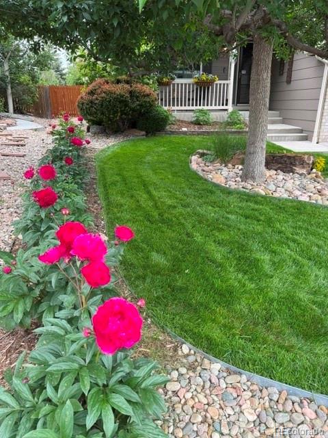 MLS Image #45 for 4270  deer watch drive,castle rock, Colorado