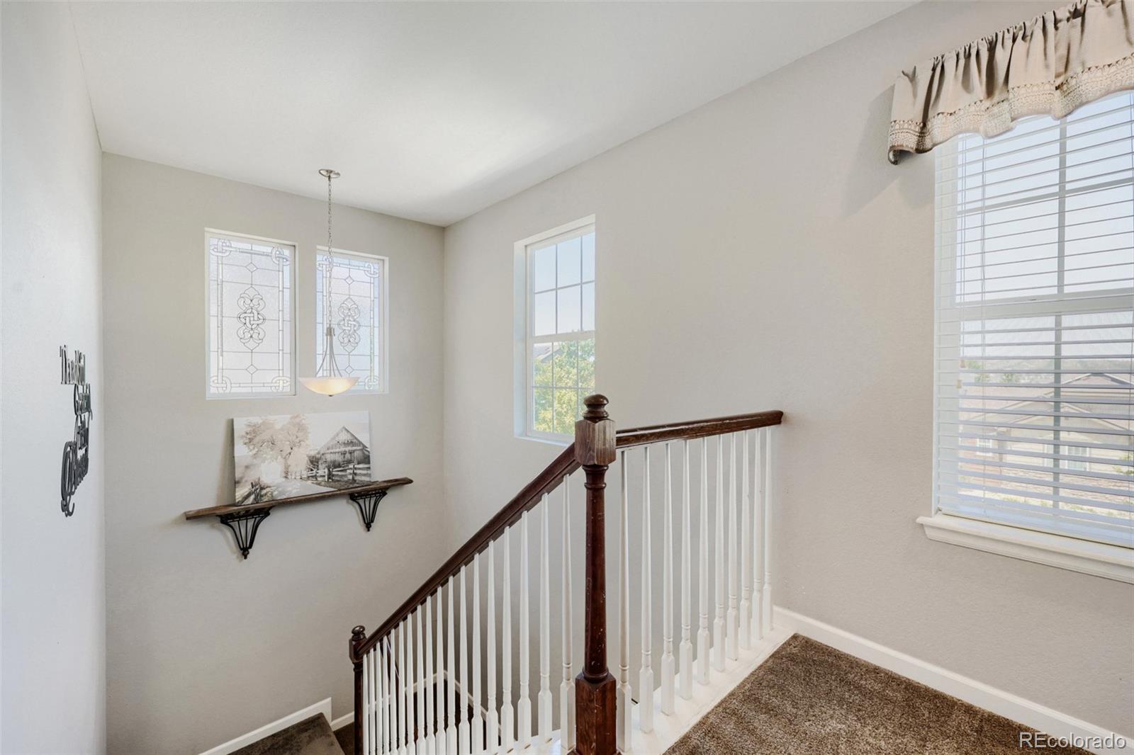 MLS Image #12 for 3672  champagne avenue,castle rock, Colorado