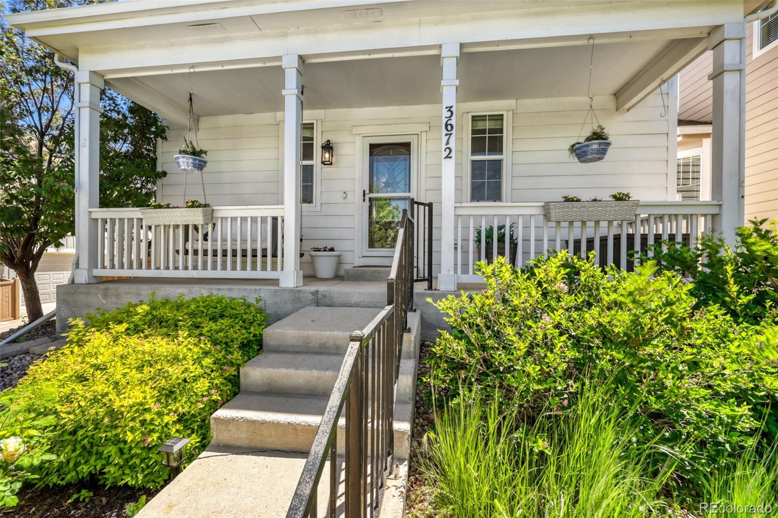MLS Image #28 for 3672  champagne avenue,castle rock, Colorado