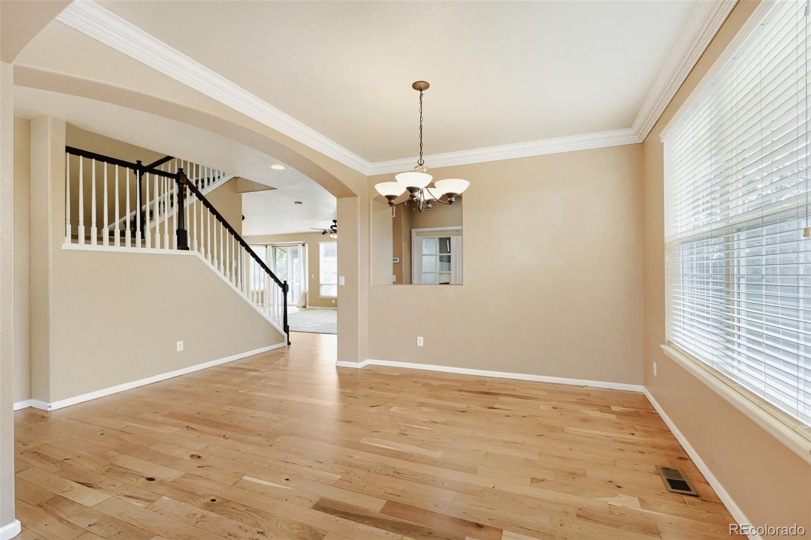 MLS Image #13 for 603  cinnabar lane,castle rock, Colorado