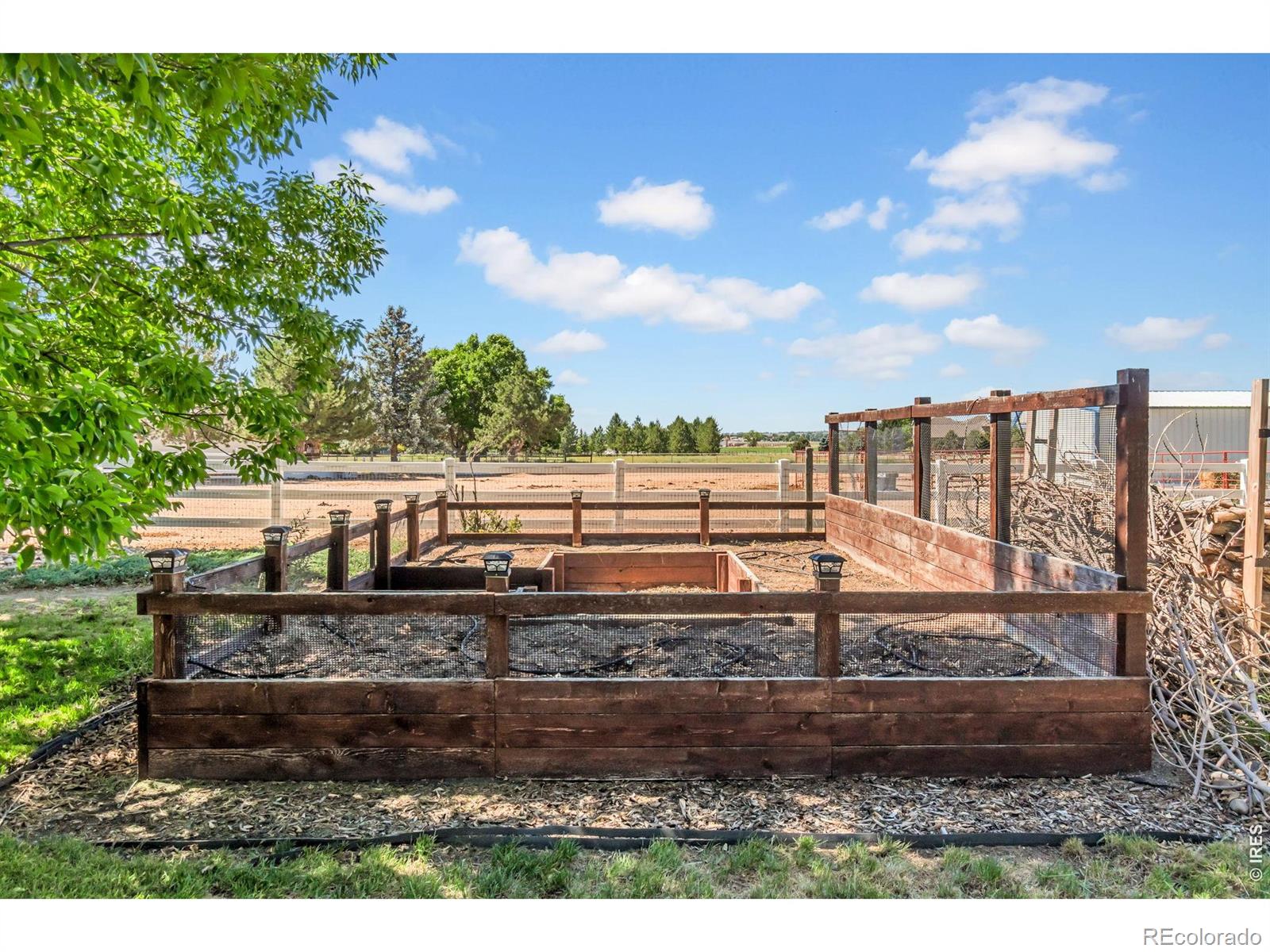 MLS Image #38 for 938  clydesdale lane,windsor, Colorado