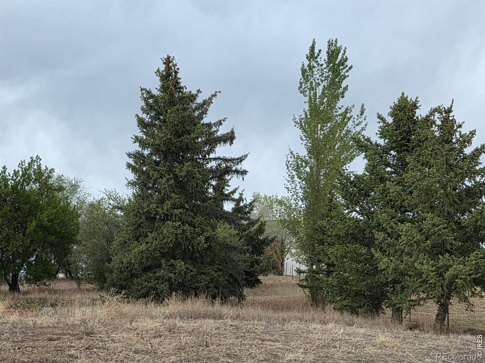 MLS Image #4 for 20219  county road 3 ,berthoud, Colorado