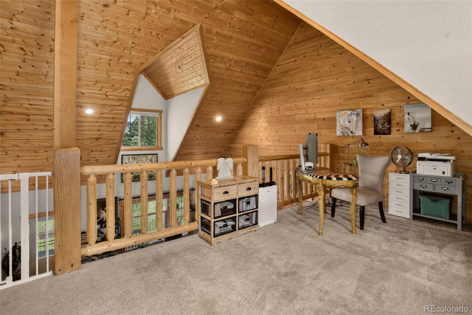 MLS Image #21 for 12090  tecumseh trail,conifer, Colorado